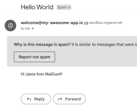 A successful email sent through the Mailgun API